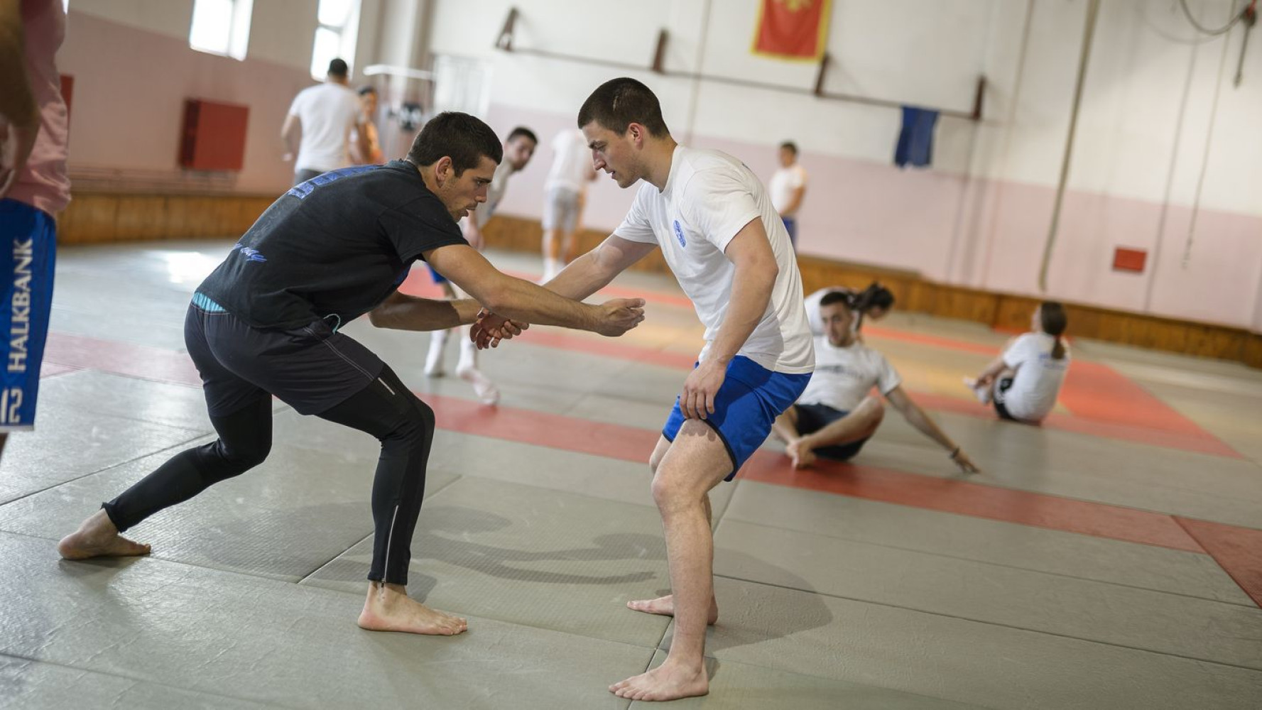 Univerzitet Crne Gore