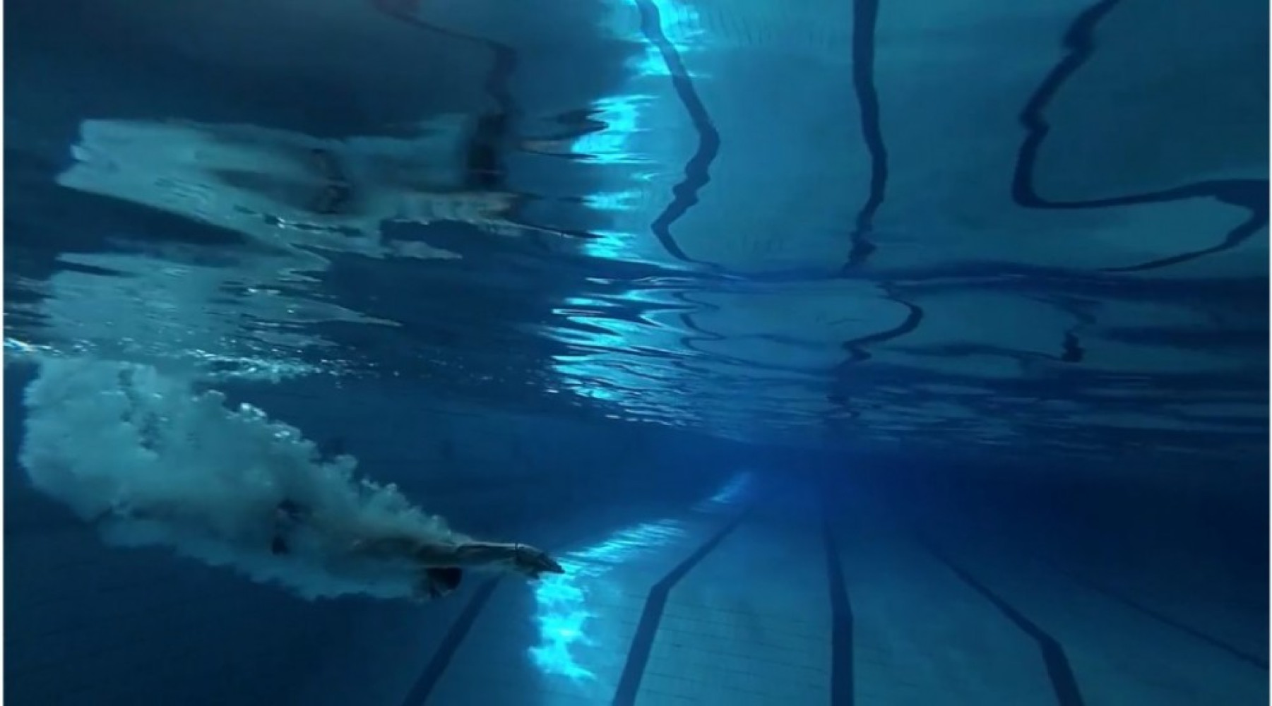 Univerzitet Crne Gore