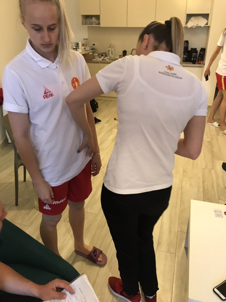 Univerzitet Crne Gore