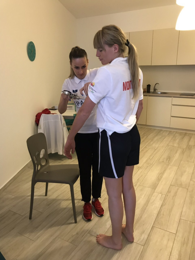 Univerzitet Crne Gore