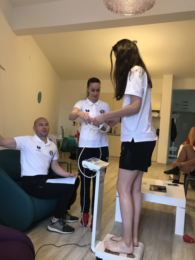 Univerzitet Crne Gore