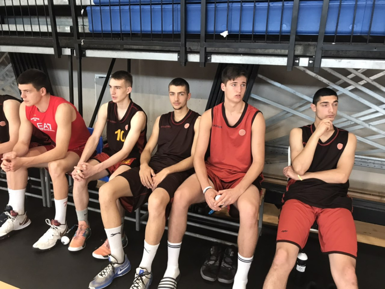 Univerzitet Crne Gore