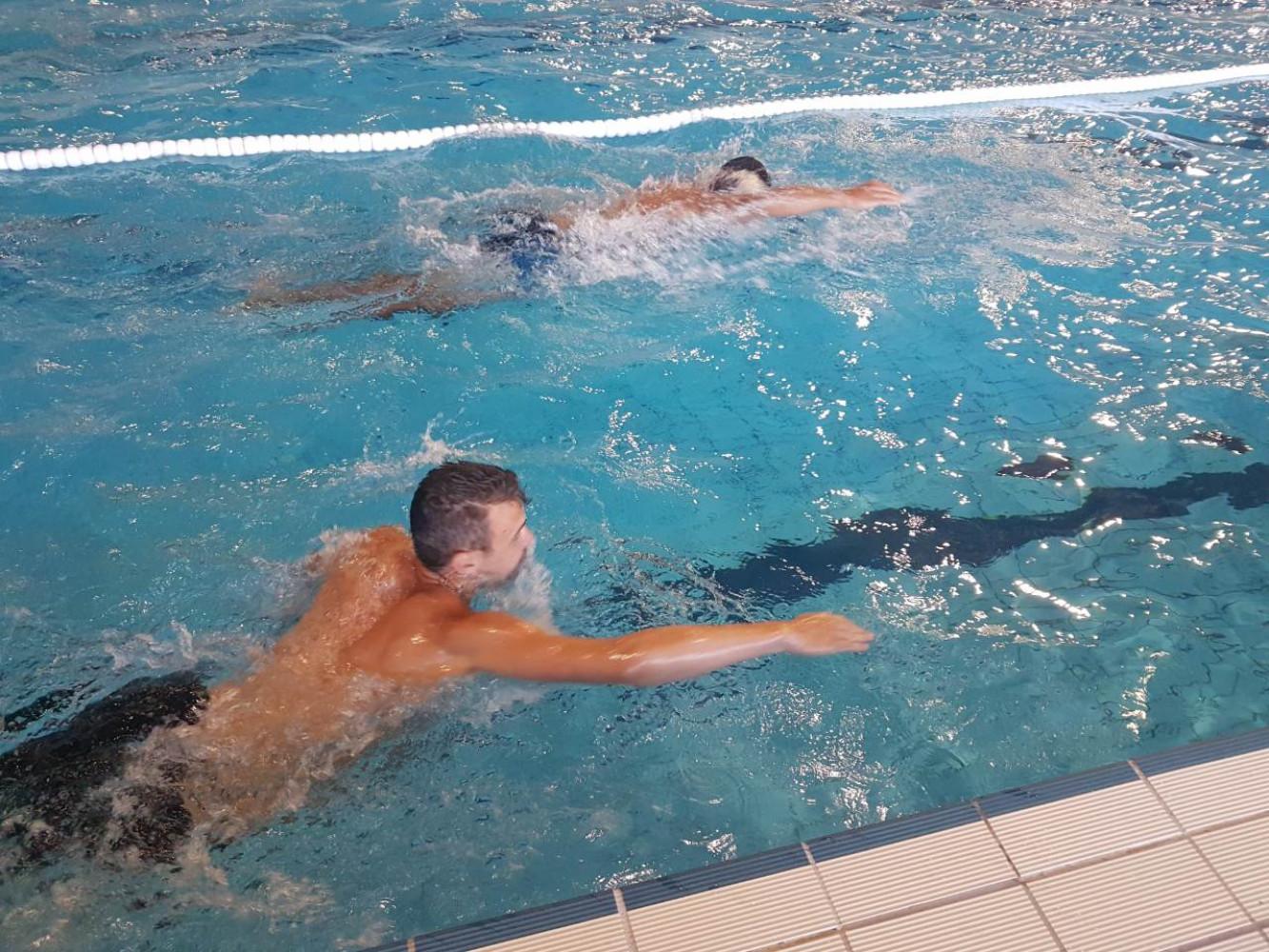 Univerzitet Crne Gore