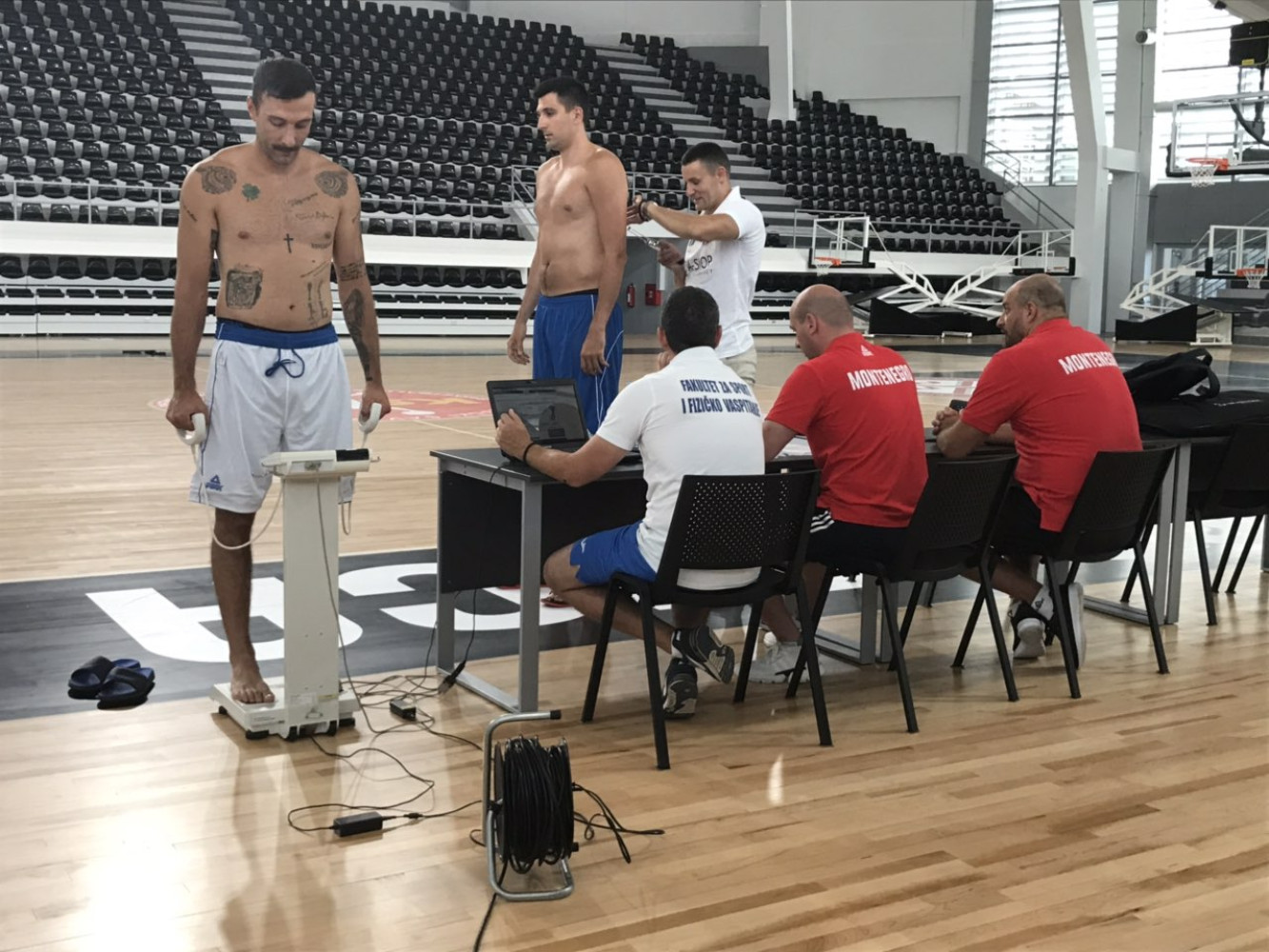 Univerzitet Crne Gore