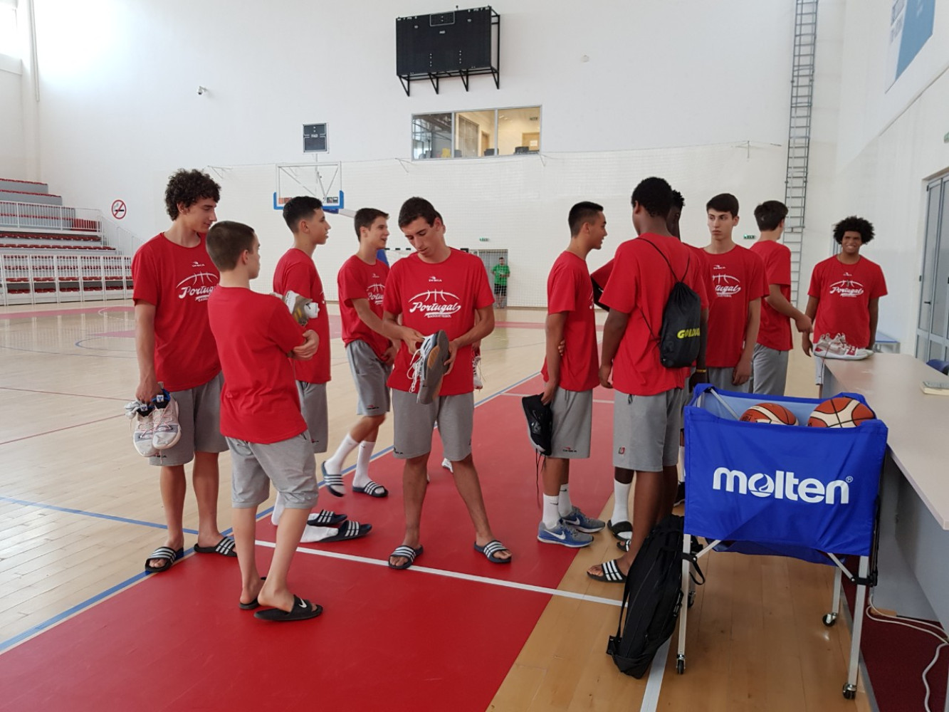 Univerzitet Crne Gore