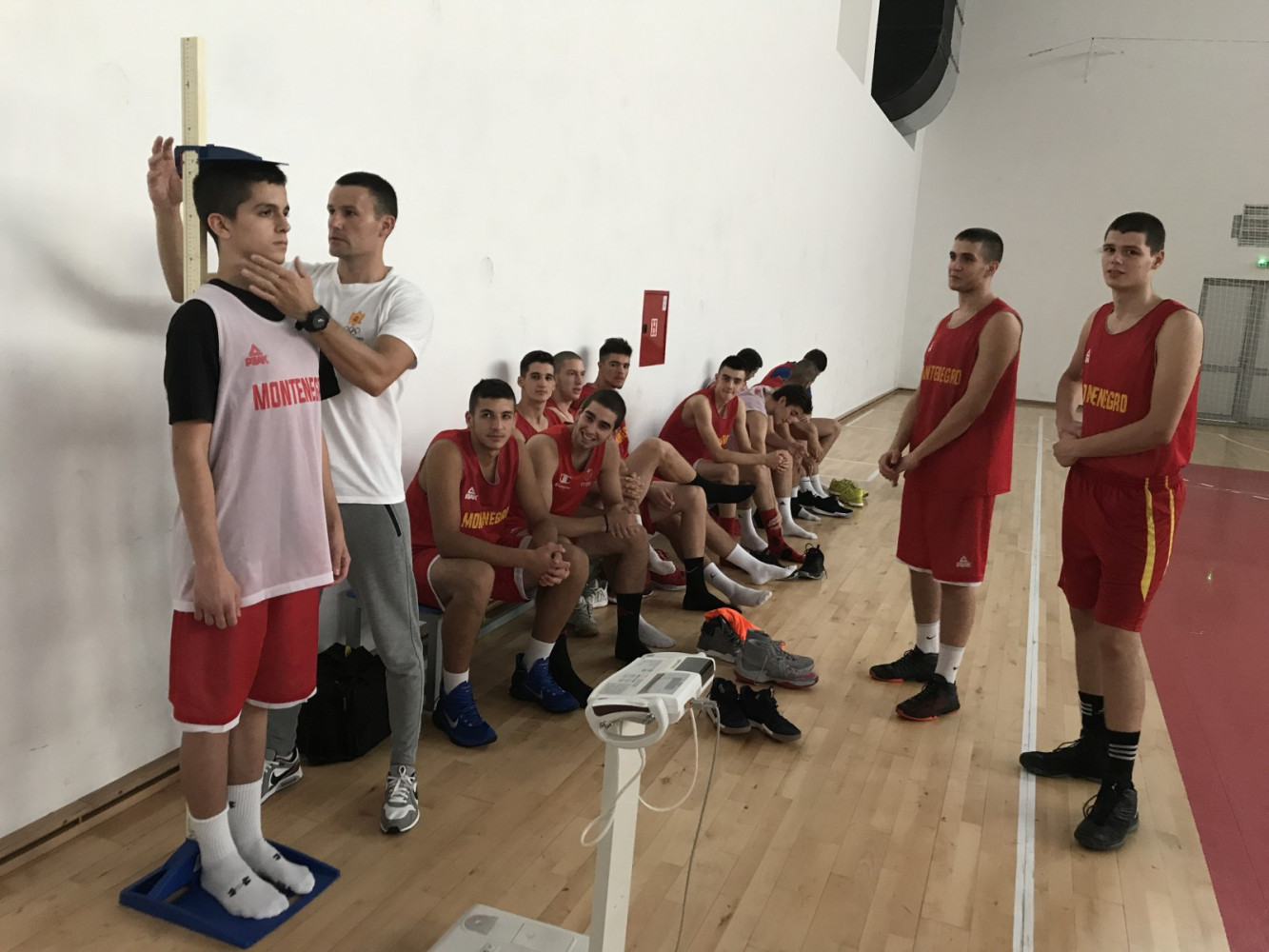 Univerzitet Crne Gore