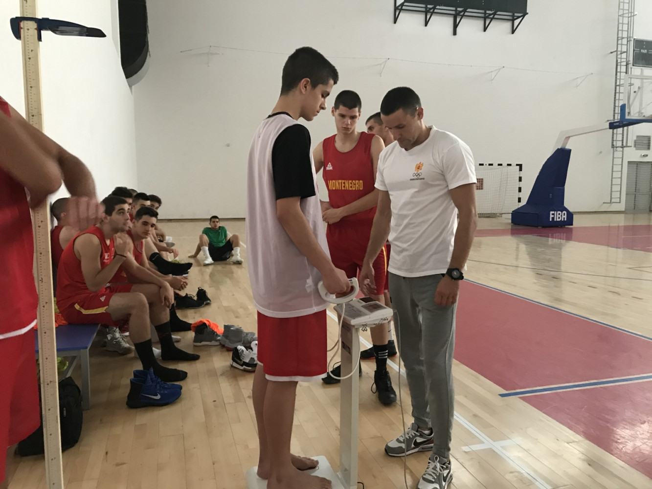 Univerzitet Crne Gore