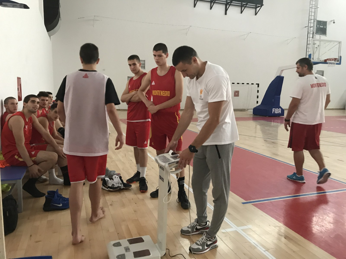 Univerzitet Crne Gore