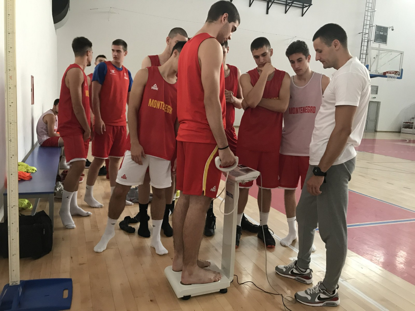 Univerzitet Crne Gore