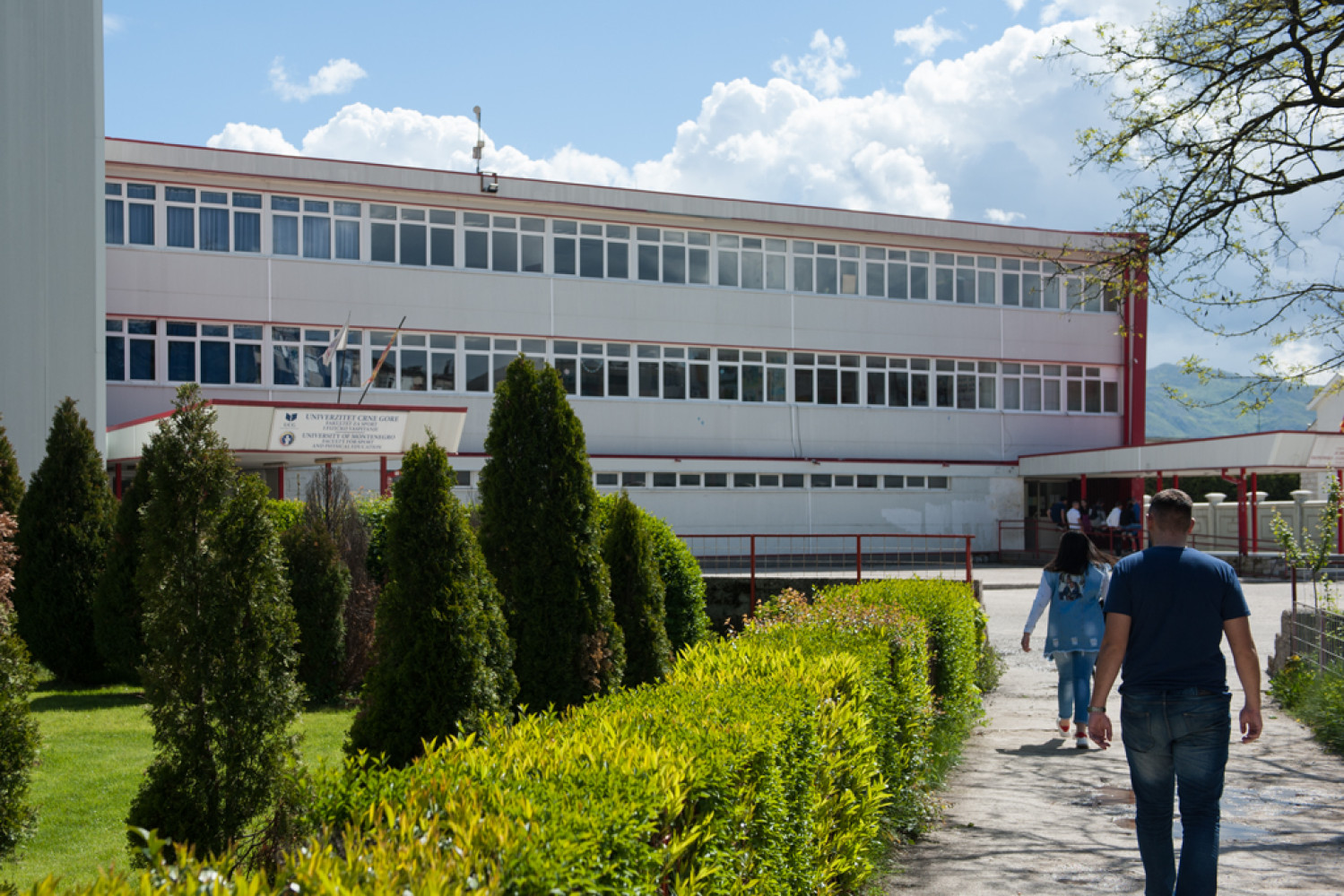 Univerzitet Crne Gore