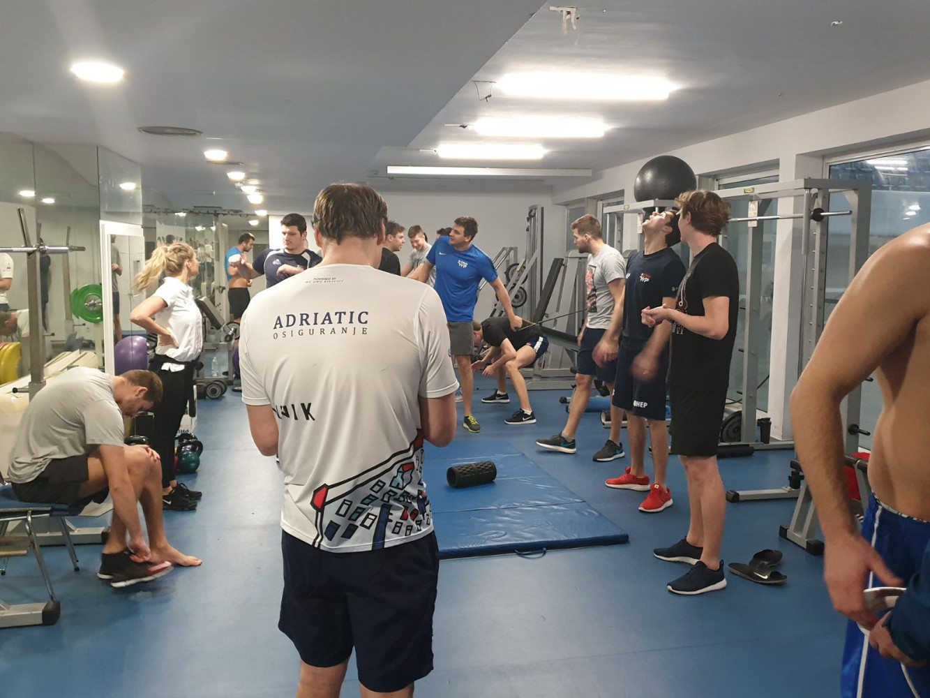 Univerzitet Crne Gore