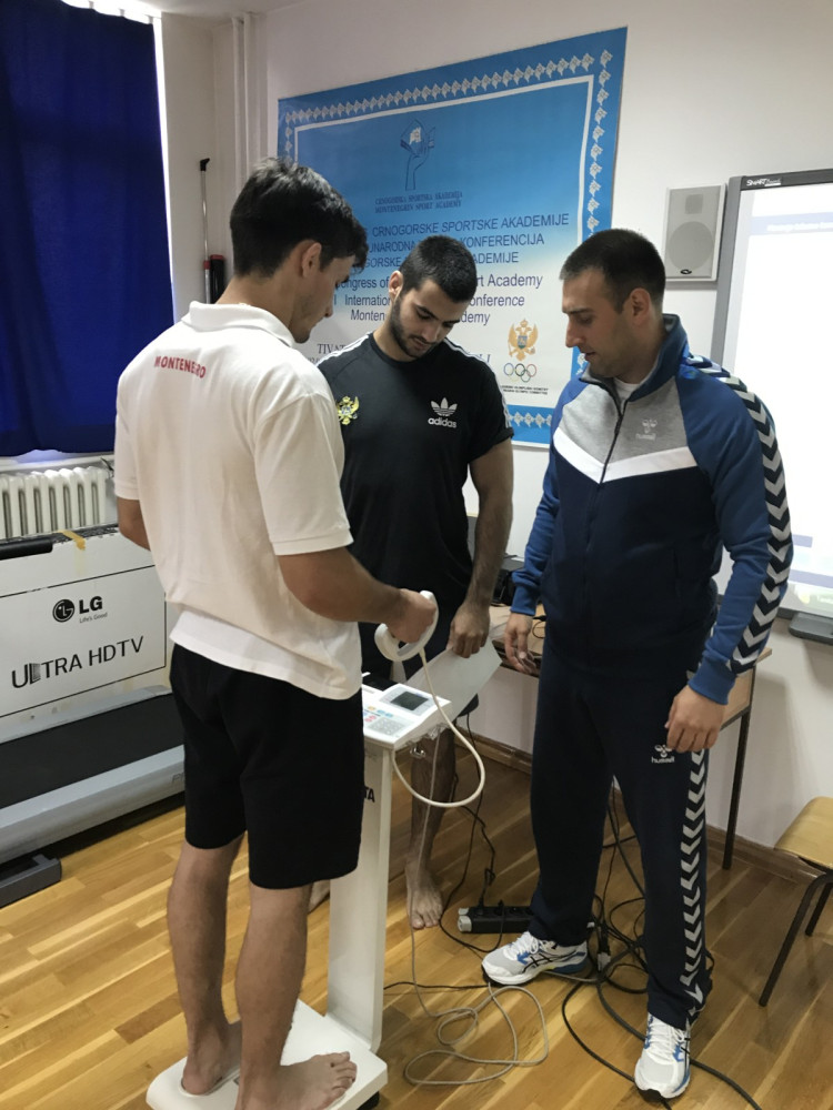 Univerzitet Crne Gore