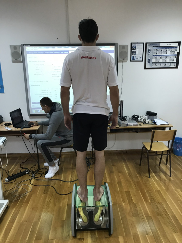 Univerzitet Crne Gore