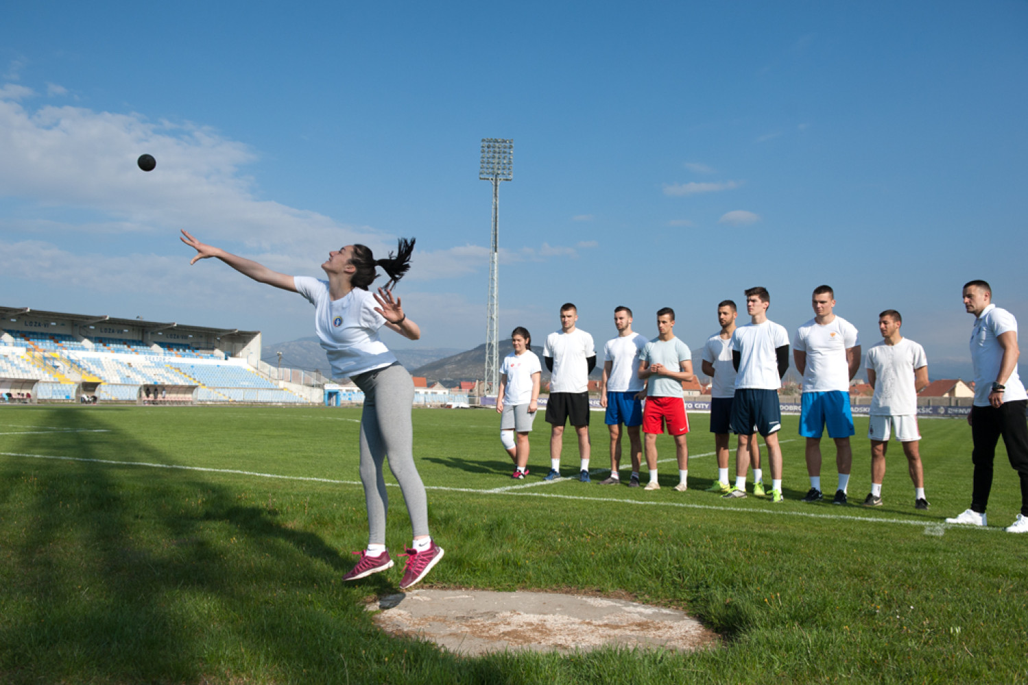 Univerzitet Crne Gore