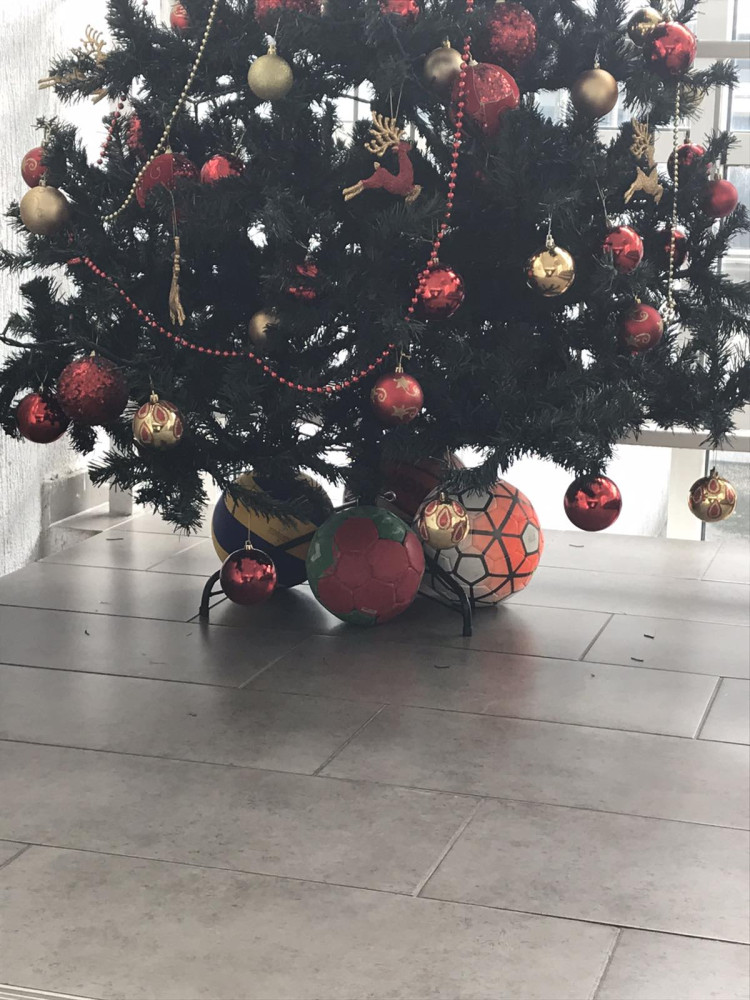 Univerzitet Crne Gore