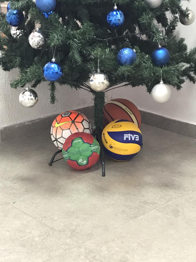 Univerzitet Crne Gore