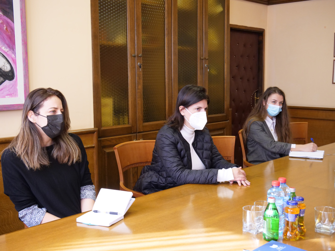 Univerzitet Crne Gore