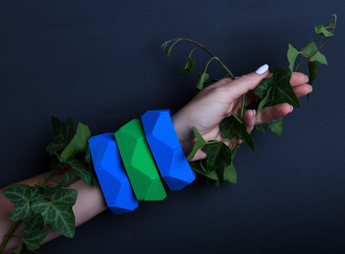 Univerzitet Crne Gore