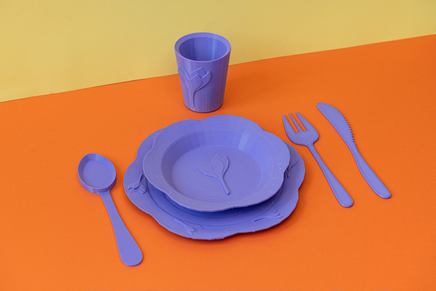 Univerzitet Crne Gore