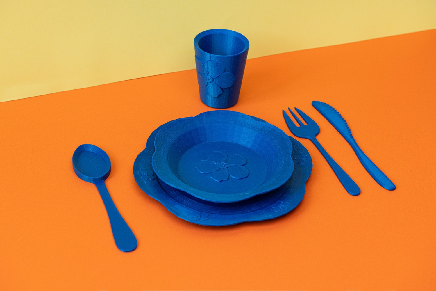 Univerzitet Crne Gore