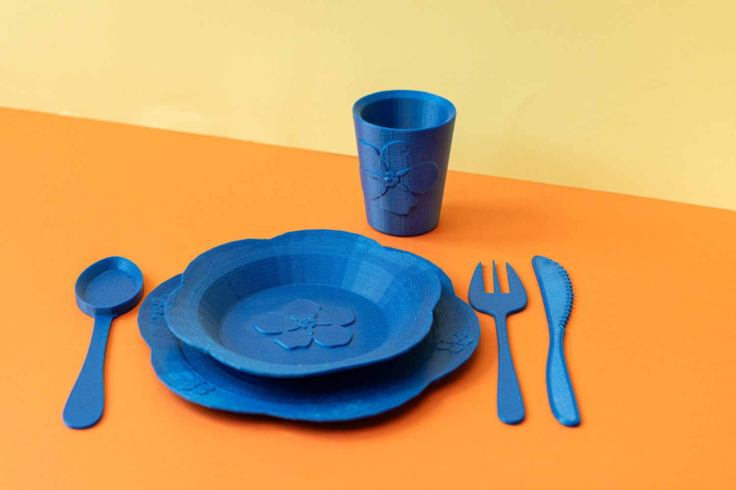 Univerzitet Crne Gore