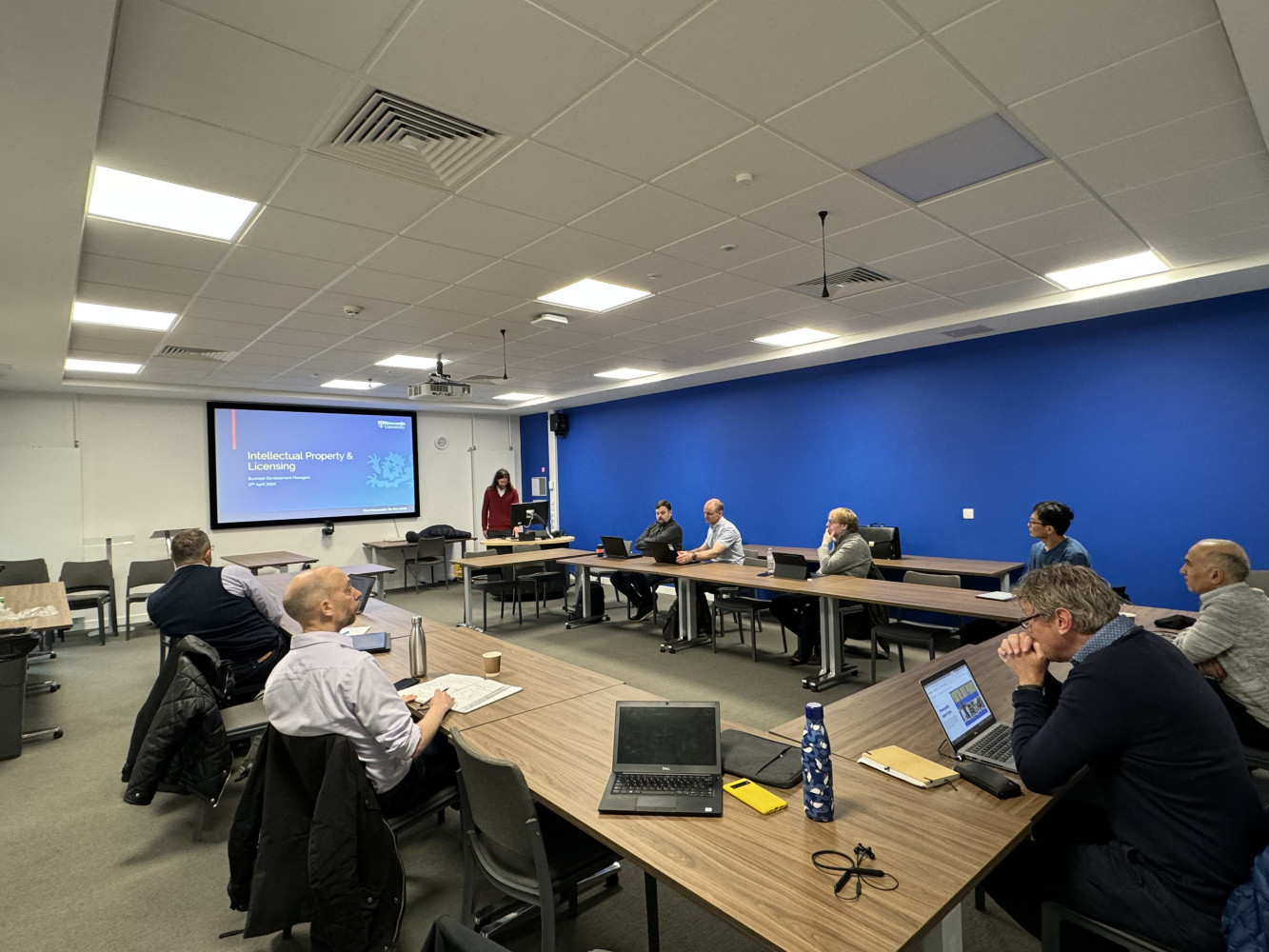 Univerzitet Crne Gore