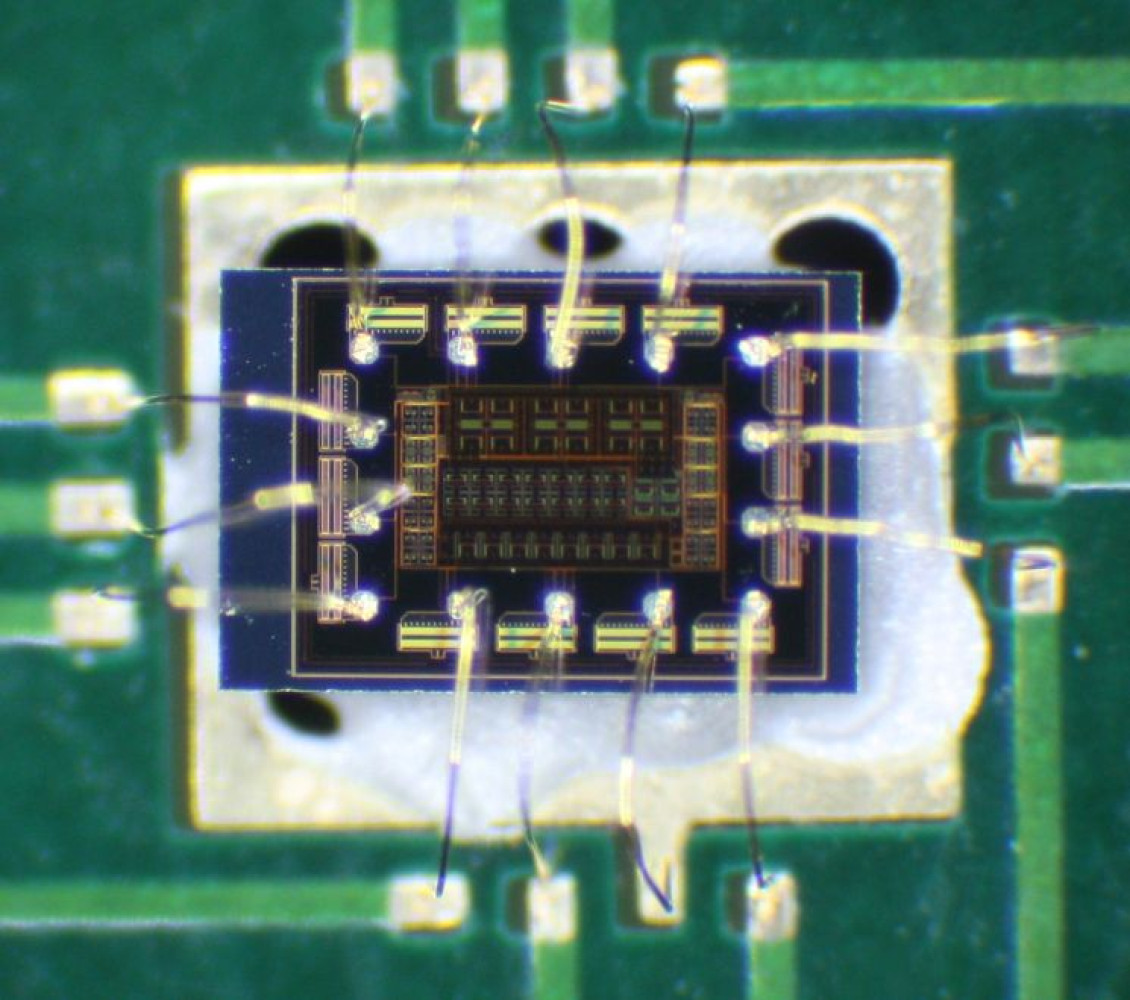 Univerzitet Crne Gore