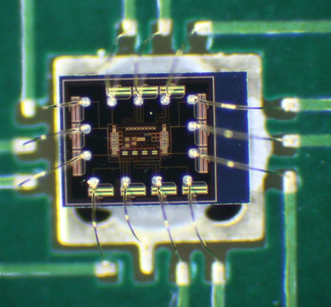 Univerzitet Crne Gore