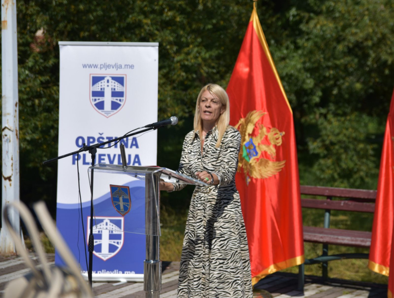 Univerzitet Crne Gore