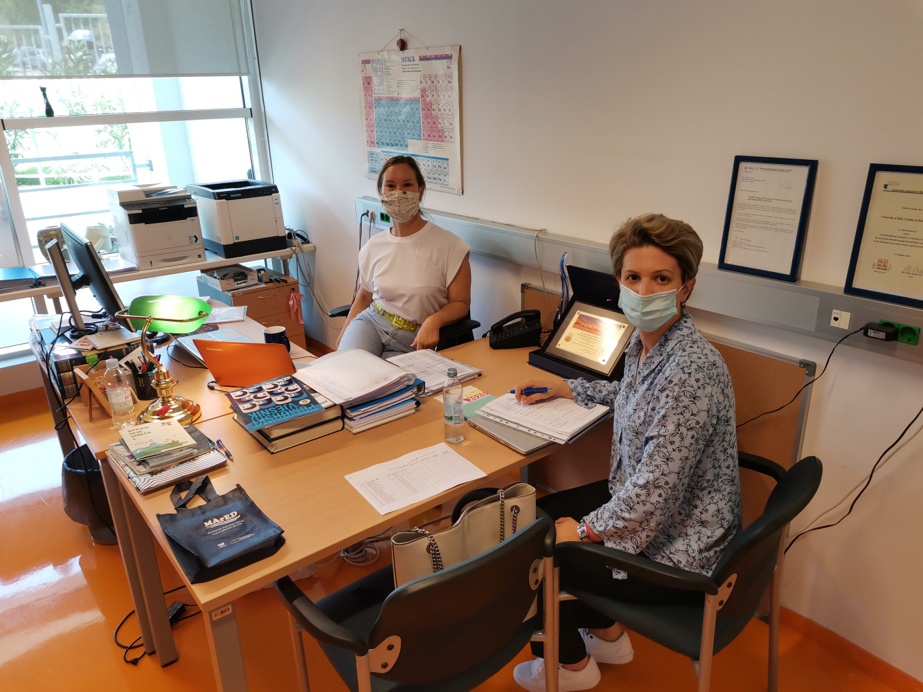 Univerzitet Crne Gore