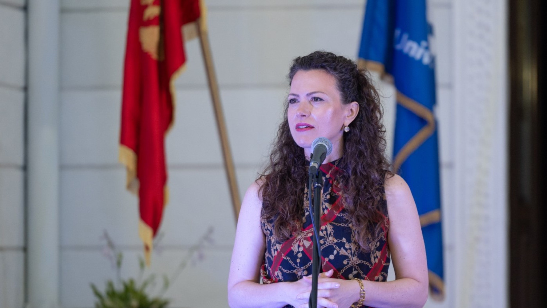 Univerzitet Crne Gore