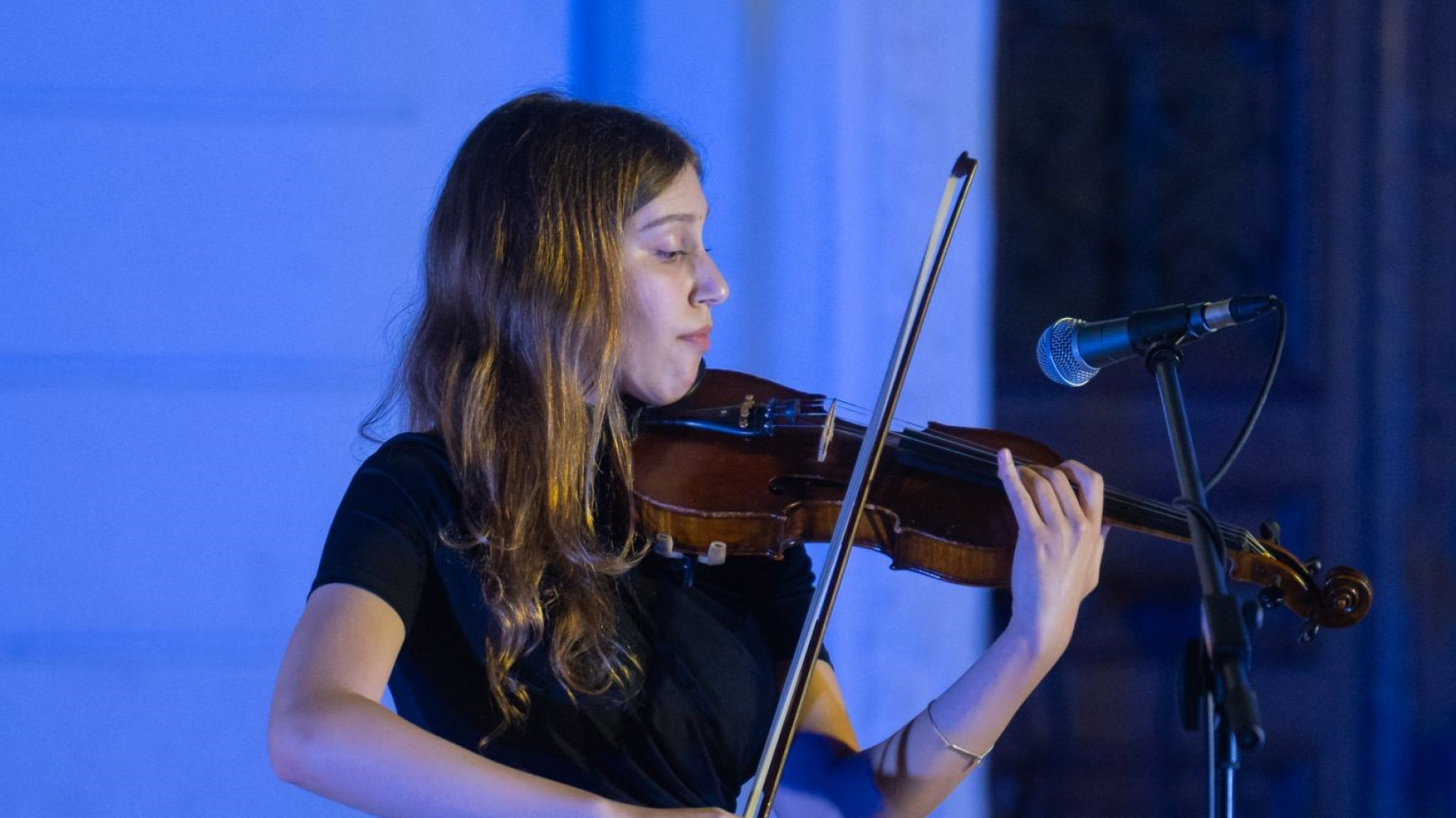 Univerzitet Crne Gore