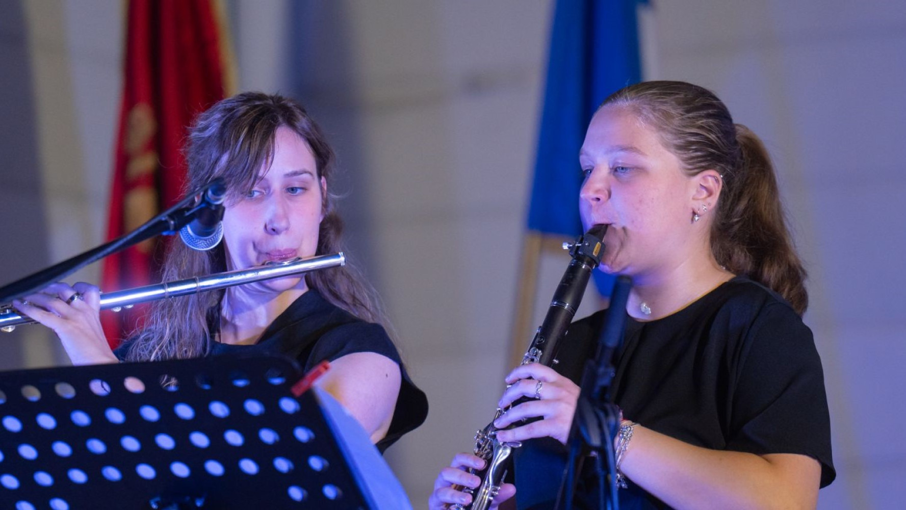 Univerzitet Crne Gore