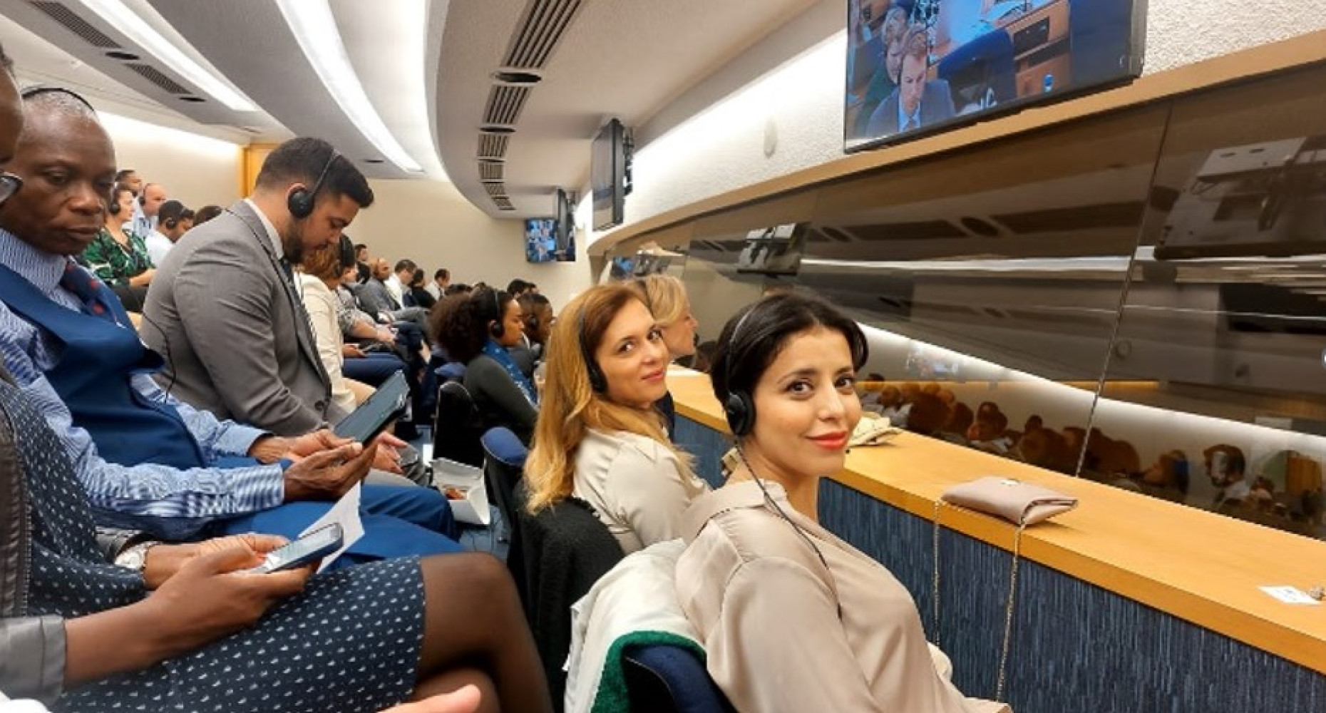 Univerzitet Crne Gore