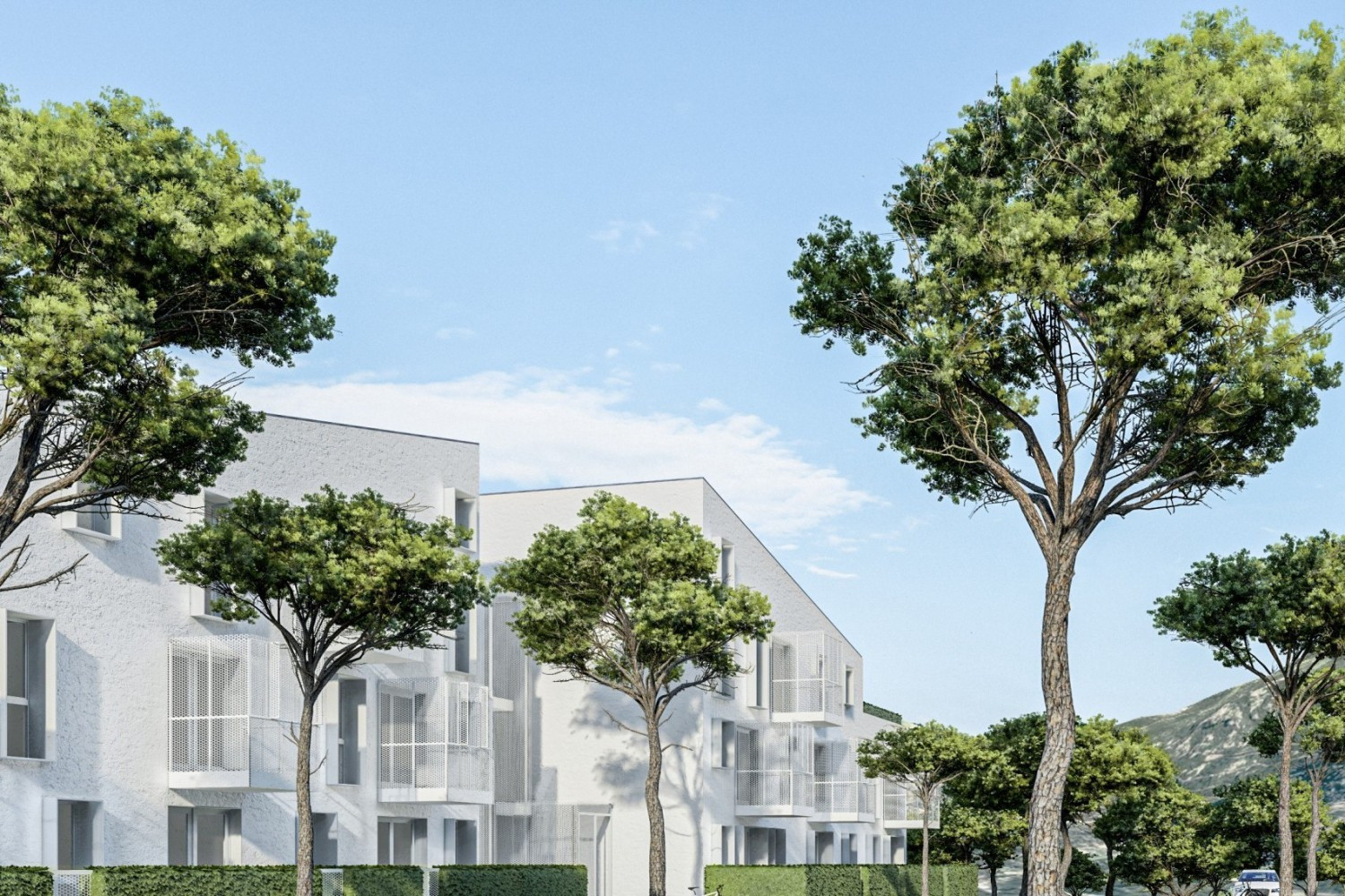 Univerzitet Crne Gore