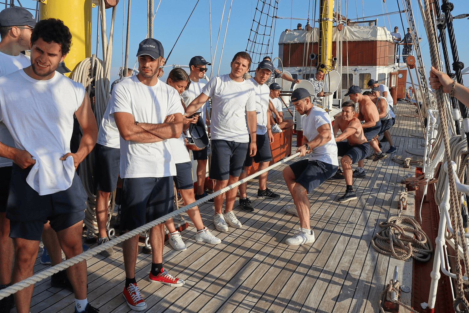 Univerzitet Crne Gore