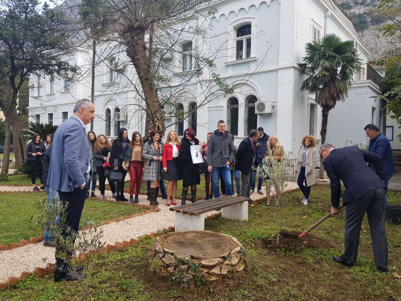 Univerzitet Crne Gore