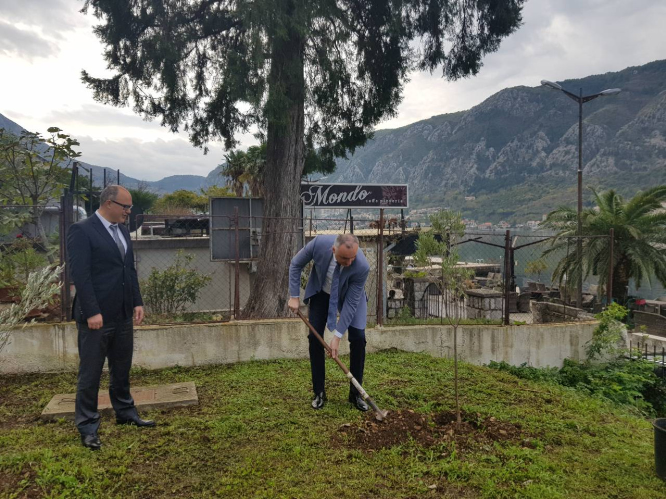 Univerzitet Crne Gore