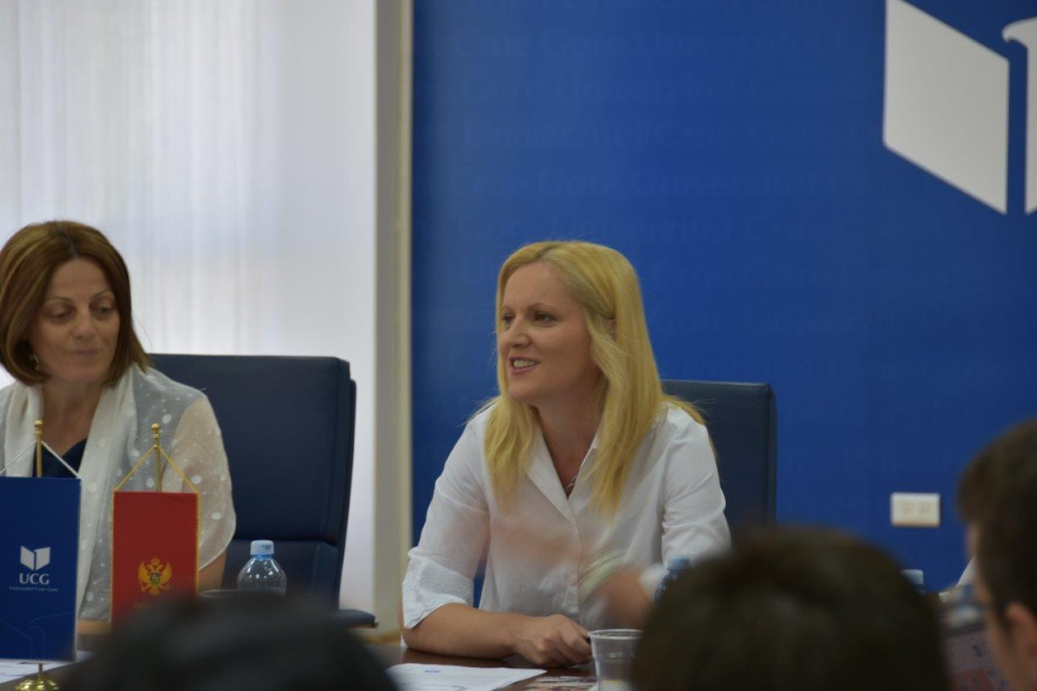 Univerzitet Crne Gore