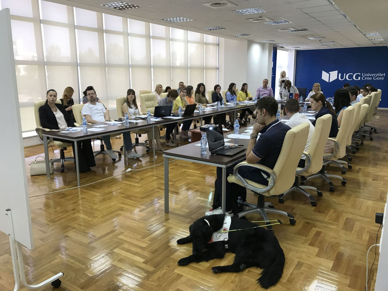 Univerzitet Crne Gore