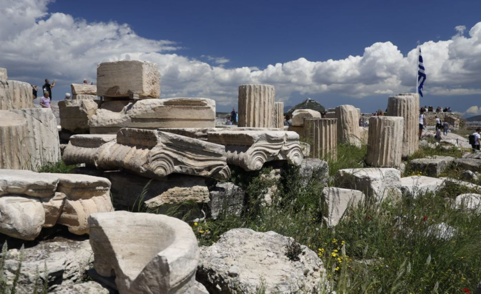 Univerzitet Crne Gore