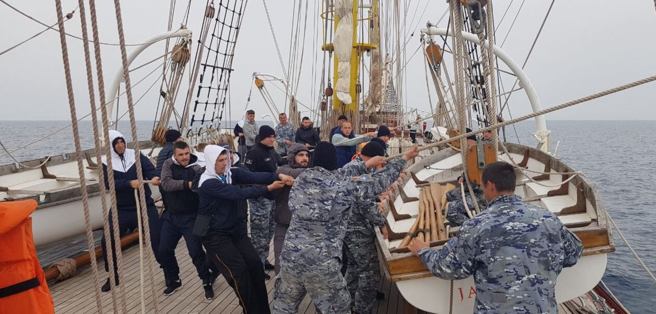 Univerzitet Crne Gore