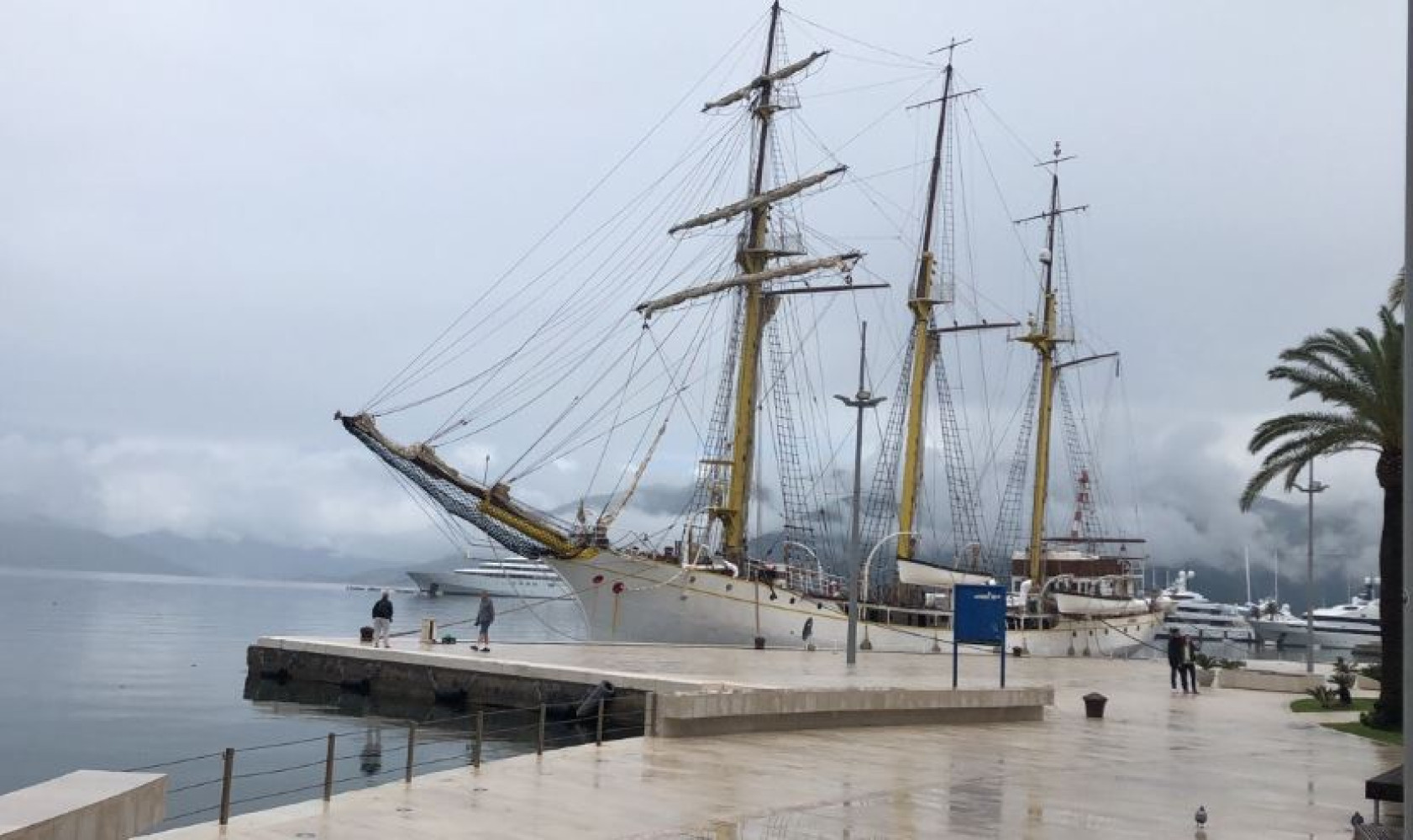 Univerzitet Crne Gore