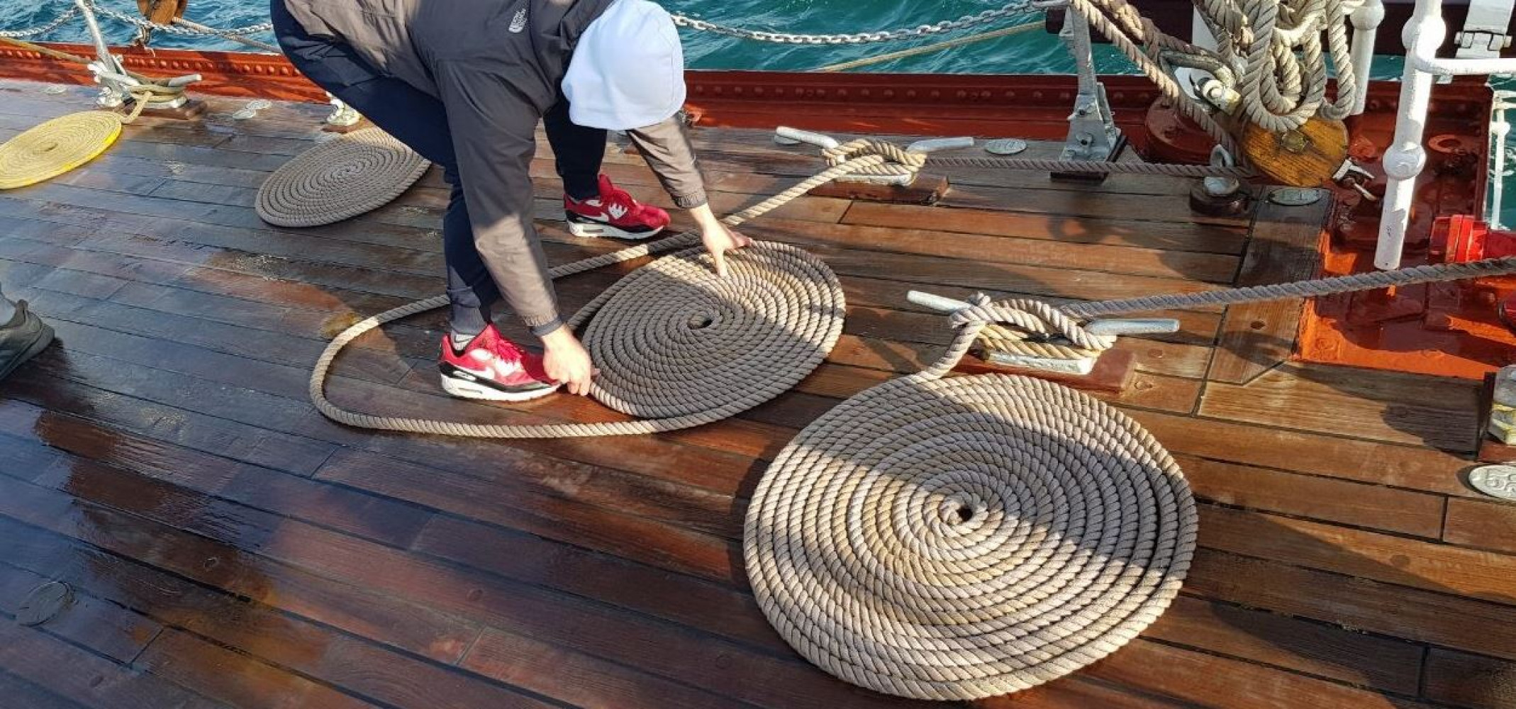 Univerzitet Crne Gore