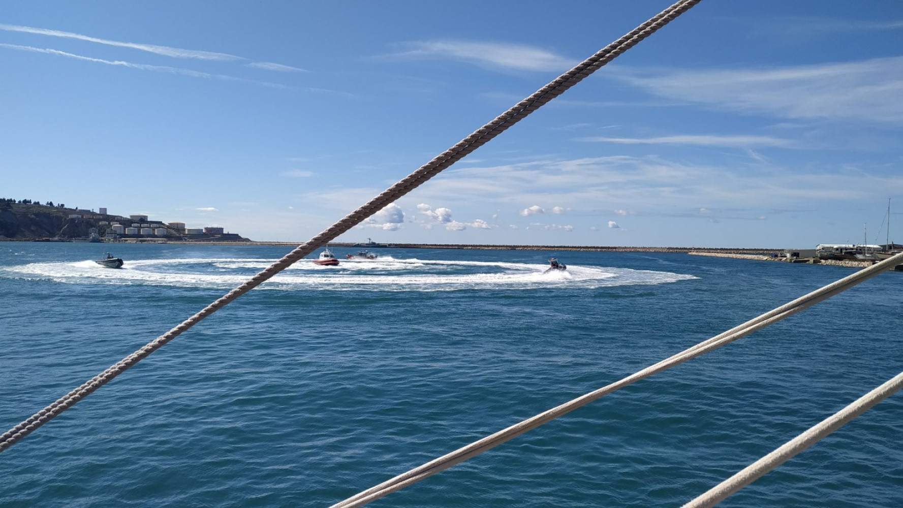 Univerzitet Crne Gore