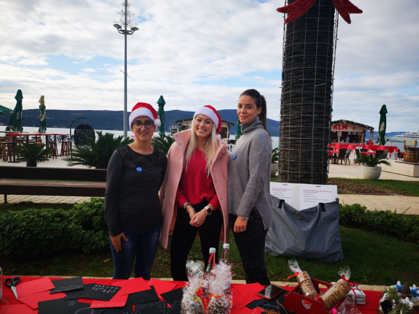 Univerzitet Crne Gore