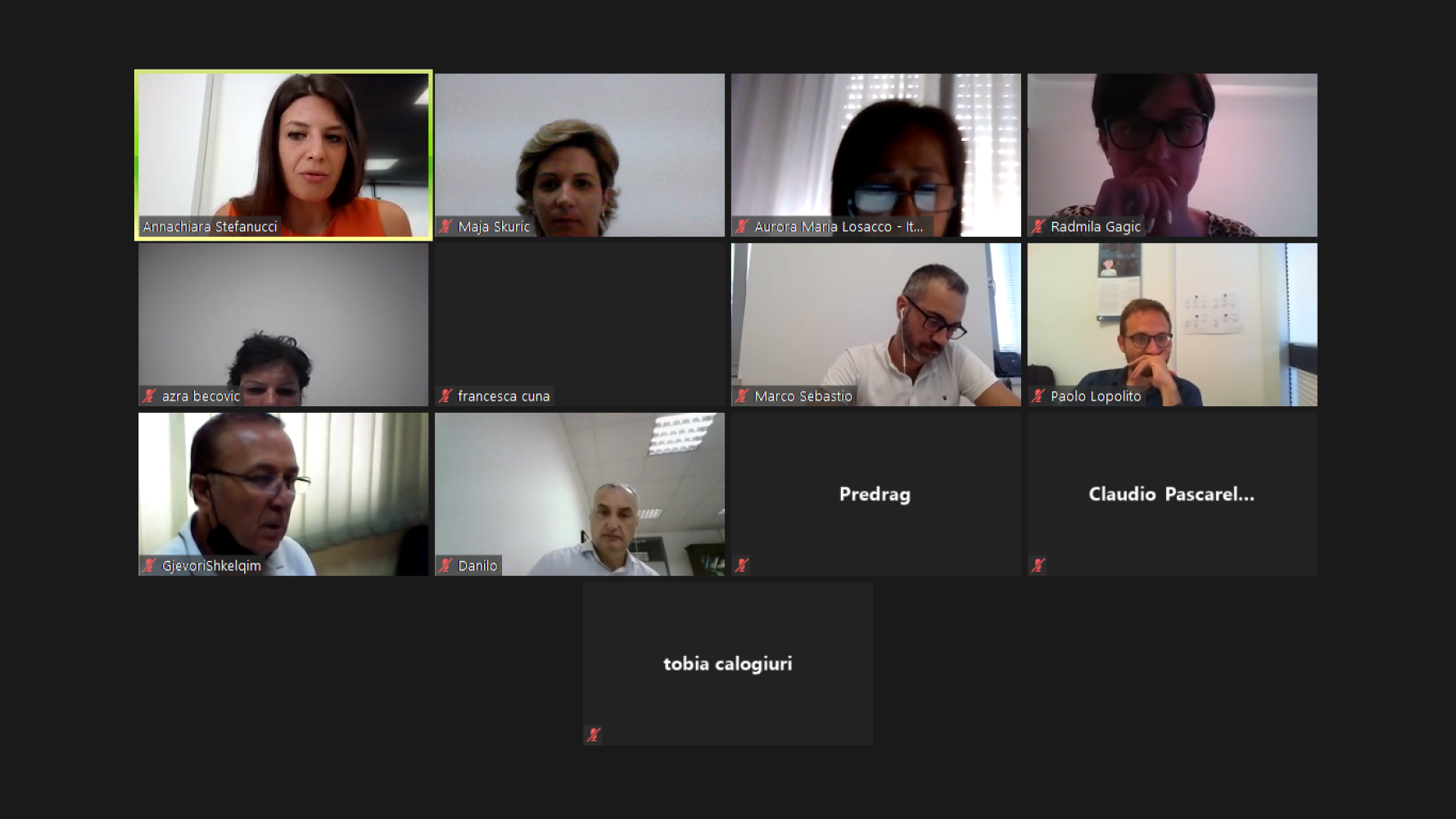 Univerzitet Crne Gore