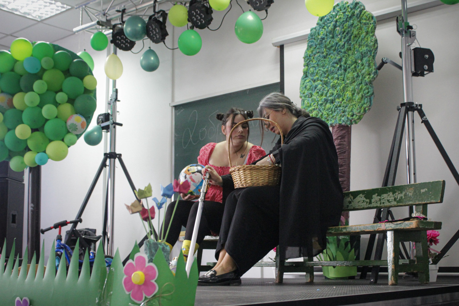 Univerzitet Crne Gore