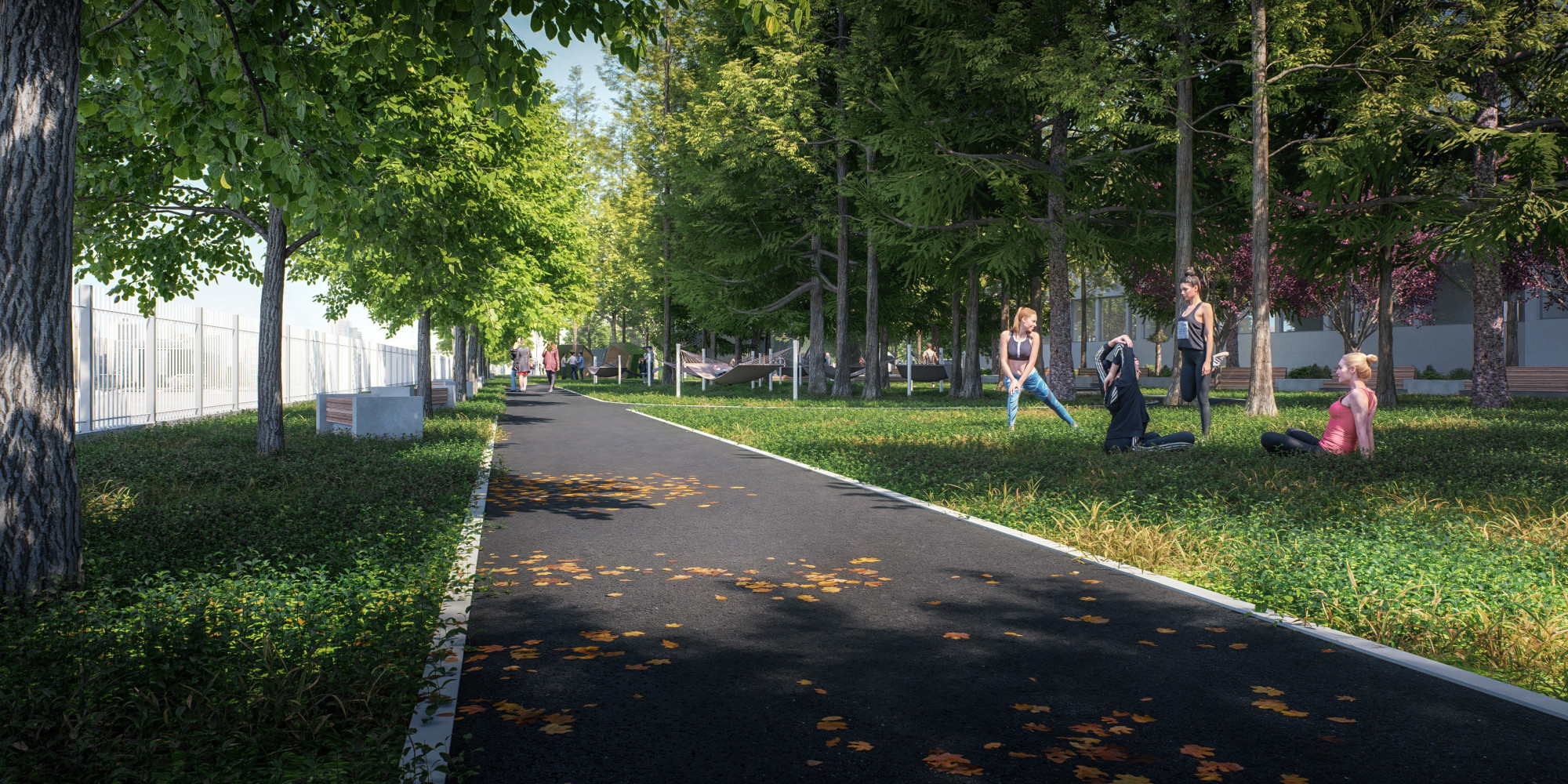 Univerzitet Crne Gore