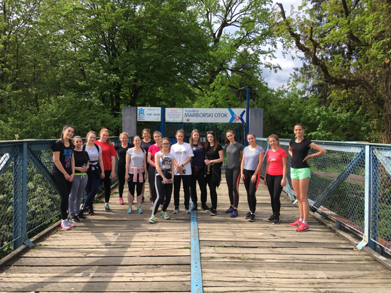 Univerzitet Crne Gore